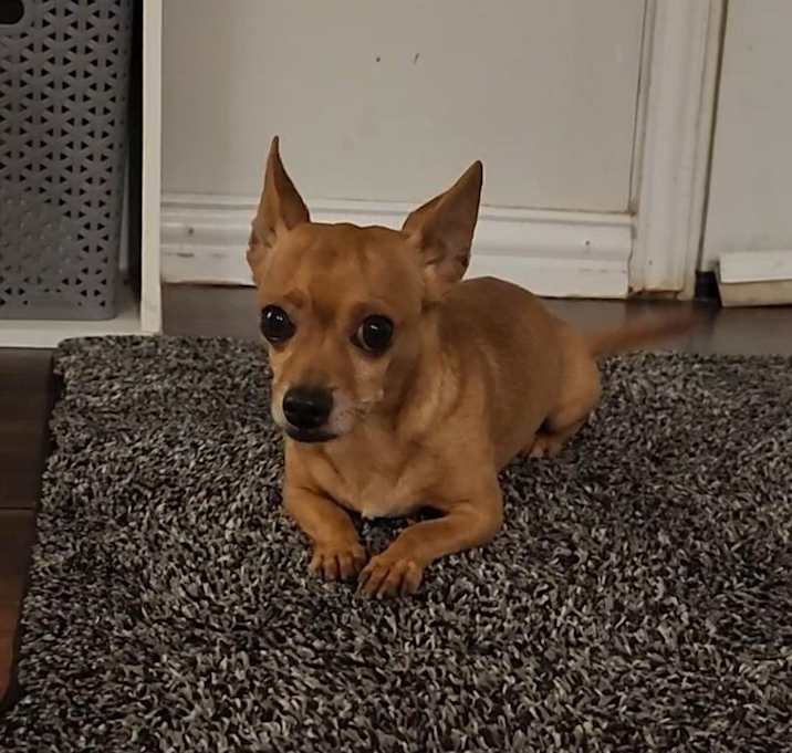 Photo of Charlie Brown