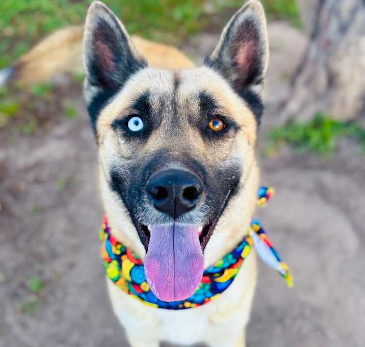 Photo of Uno 25-11-028