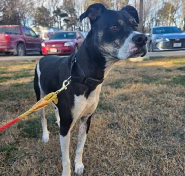 Photo of Jack (Allan)