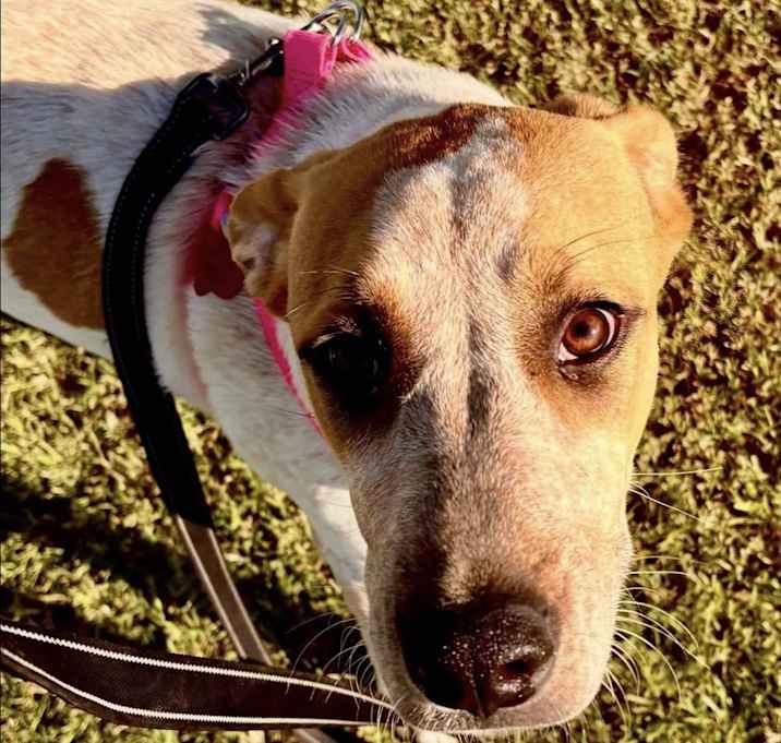 Photo of Dolly Barkin’