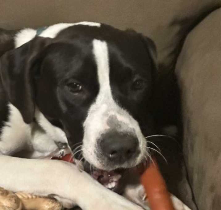 Photo of Kole Talbot