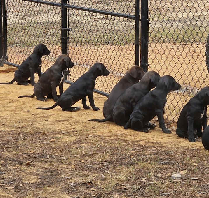 Photo of Your Choice