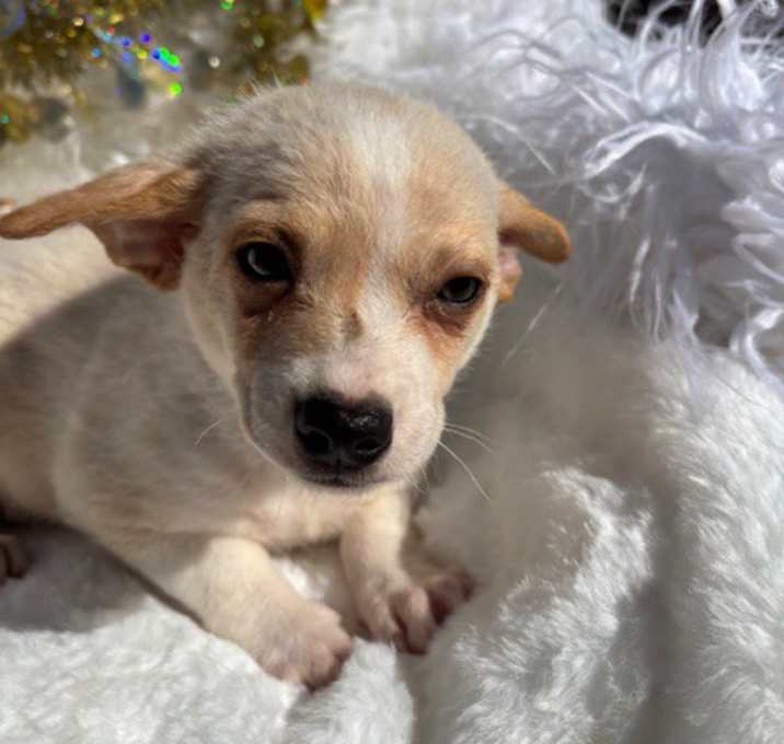 Photo of Miney Little