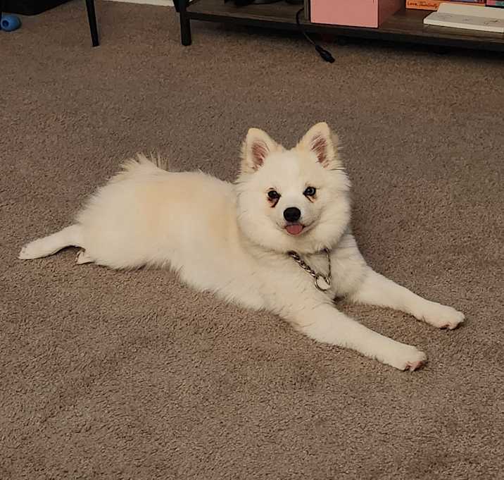 Photo of Ghost