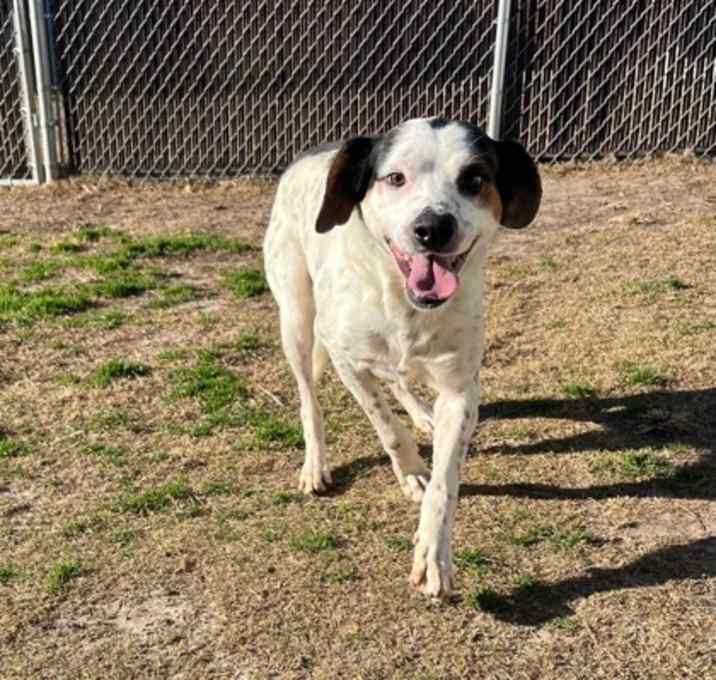Photo of Officer Dufy