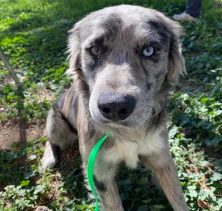 Photo of Williams K31 12/29/25