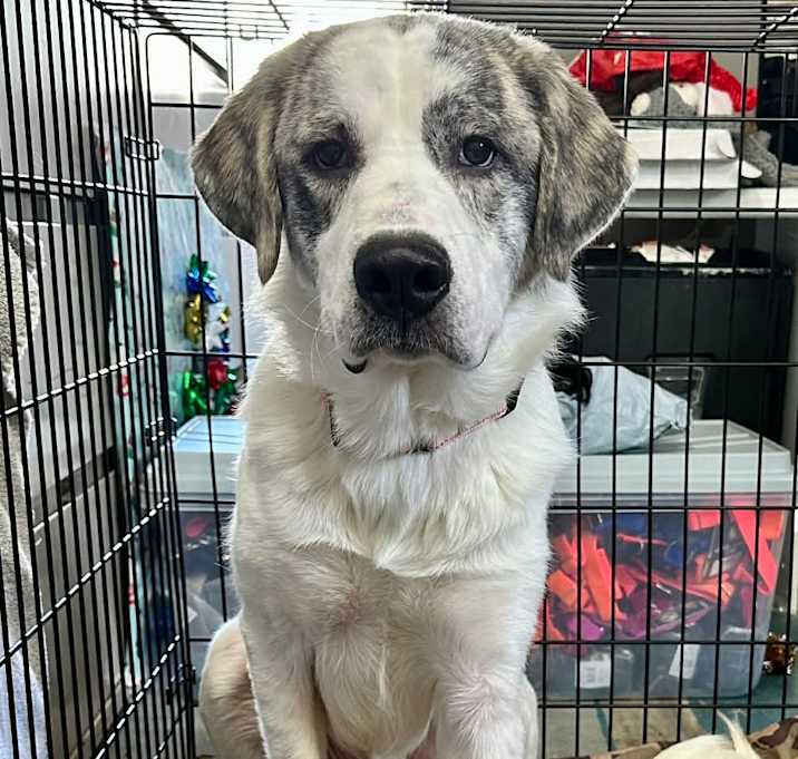 Photo of Thunder Office