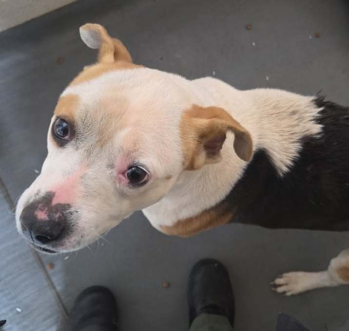 Photo of 25-12-3648 Bella