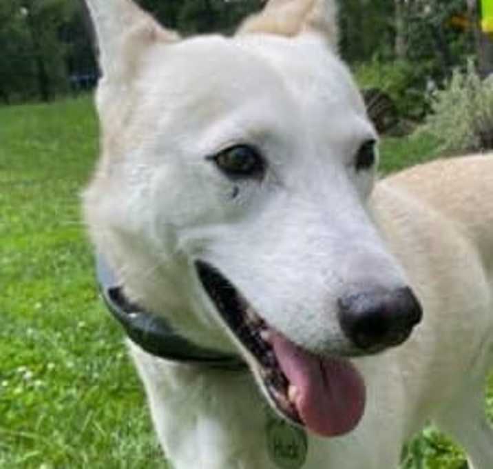 Photo of Huckleberry Finn