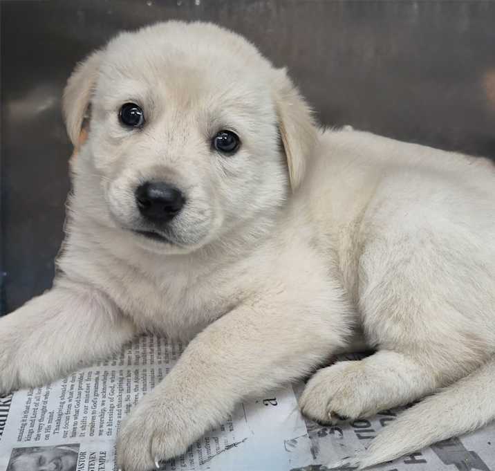 Photo of Irish Coffee
