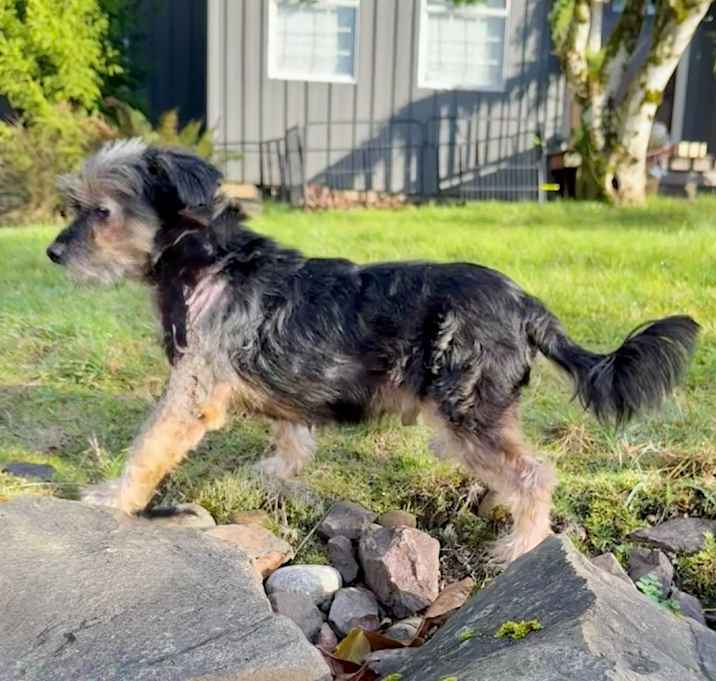 Photo of Monty the Magnificent!