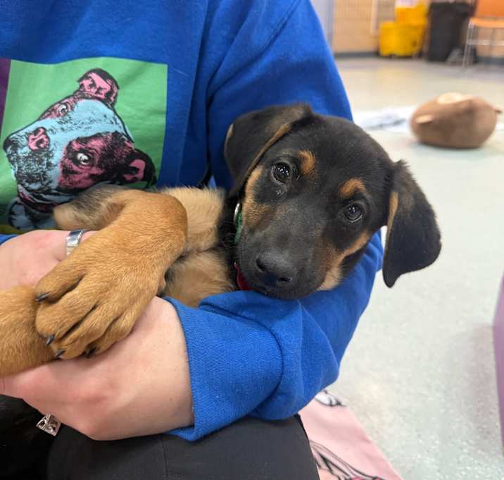 Photo of Rhea Ripley