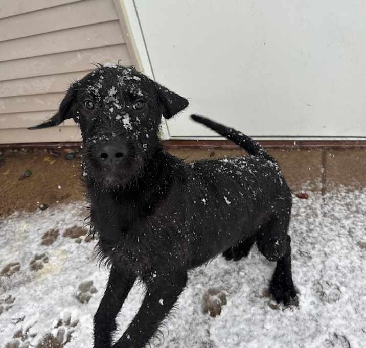 Photo of Dan (Nochesita) 