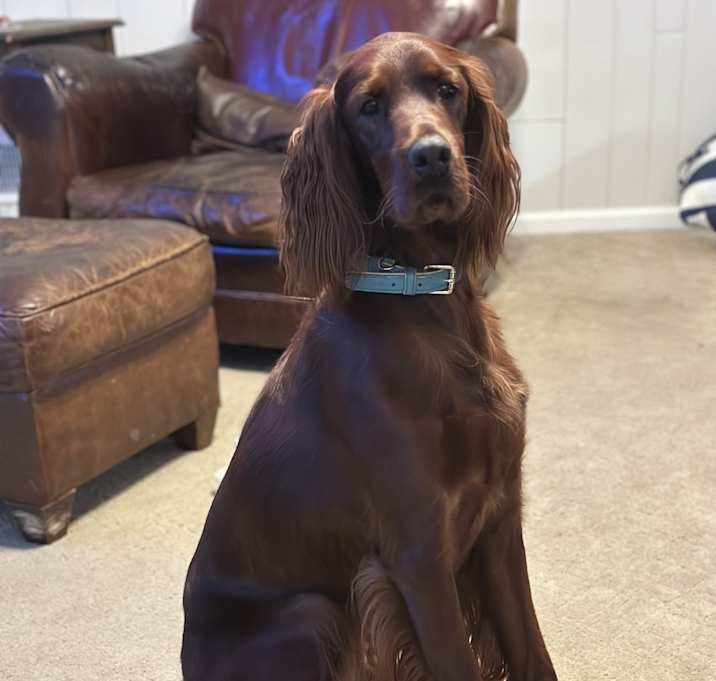 Photo of Lady Ma’am