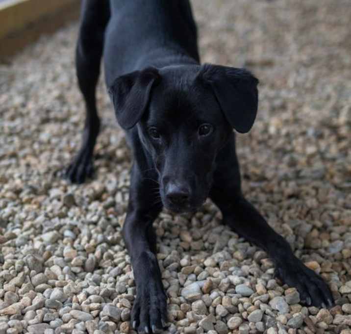 Photo of Able 1 Year