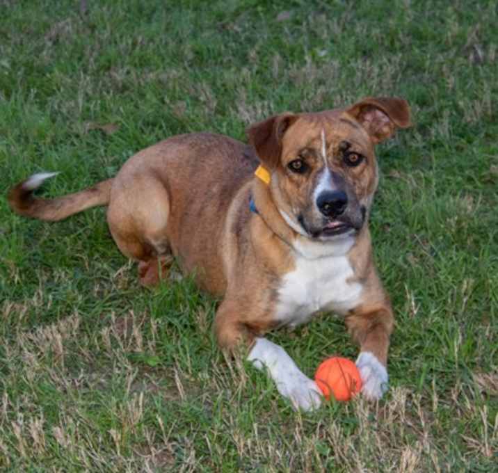 Photo of F25 CM 1324 Aubery