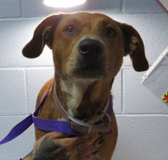 Photo of *Baby*1/8/2026