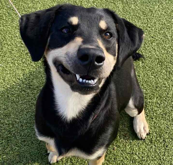 Photo of Geoda URGENT HELP NEEDED‼️