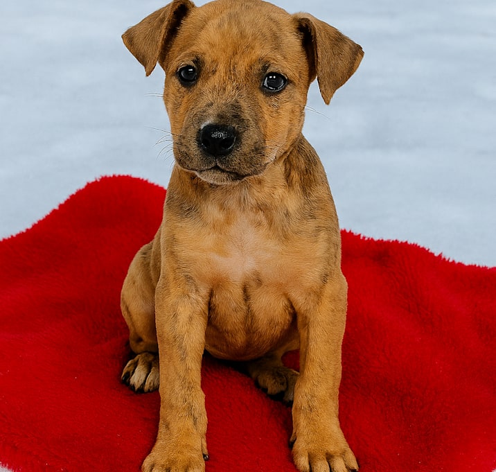 Photo of CT Calamity Avail 1/3