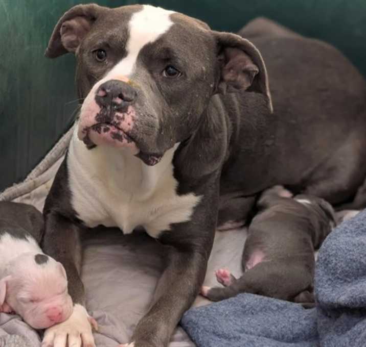 Photo of MAMA JINGLE