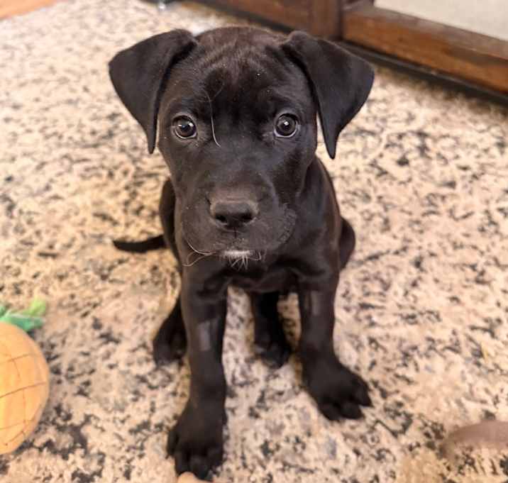 Photo of 972 (2025) - Edie