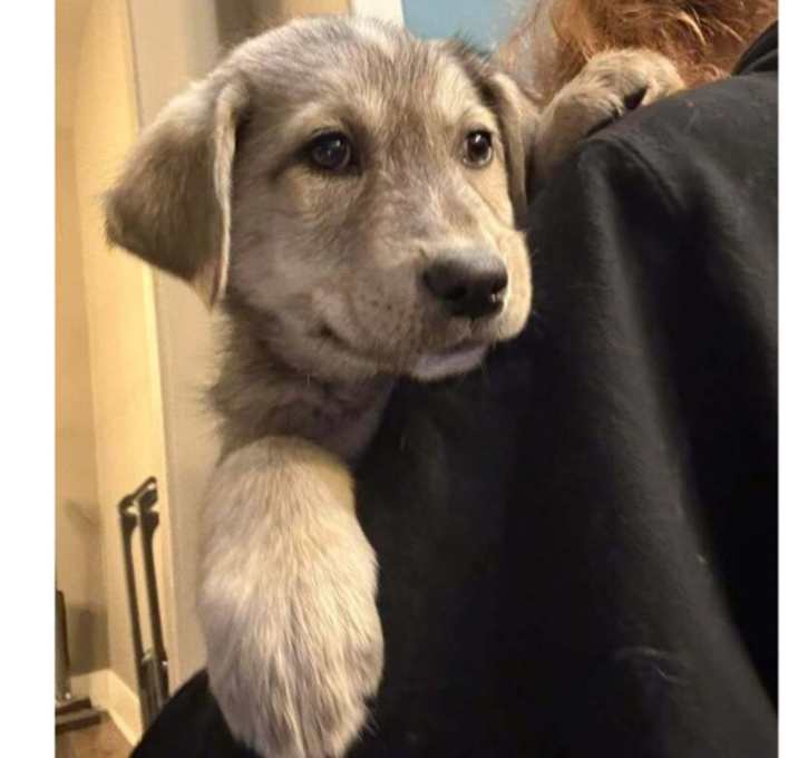 Photo of Super Bowl Snacks: Salsa