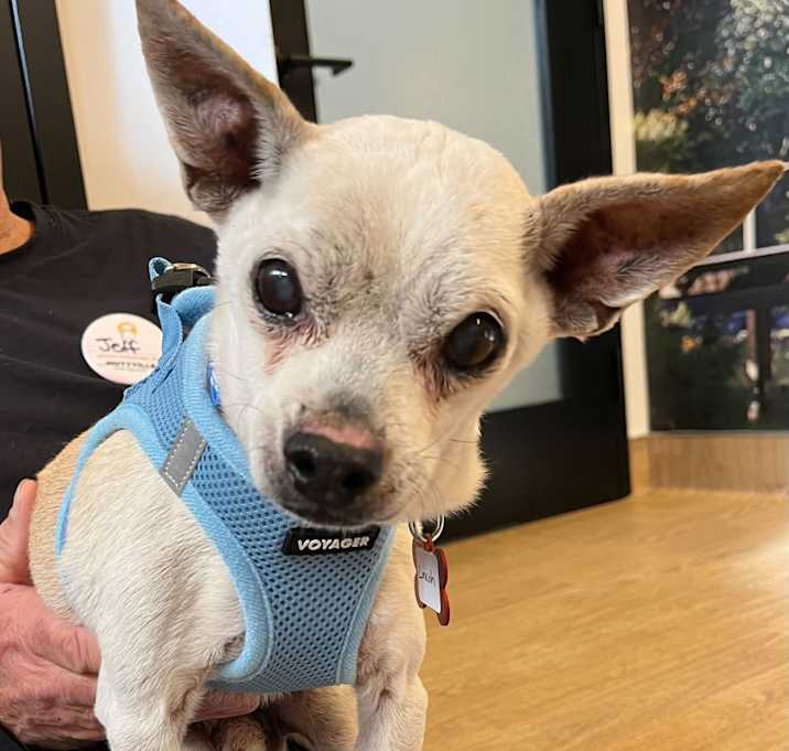 Photo of Lincoln 13673