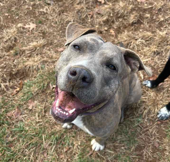 Photo of Brown Sugar 