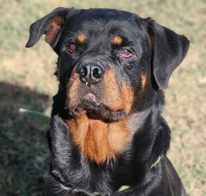 Photo of Penelope Rae JuM