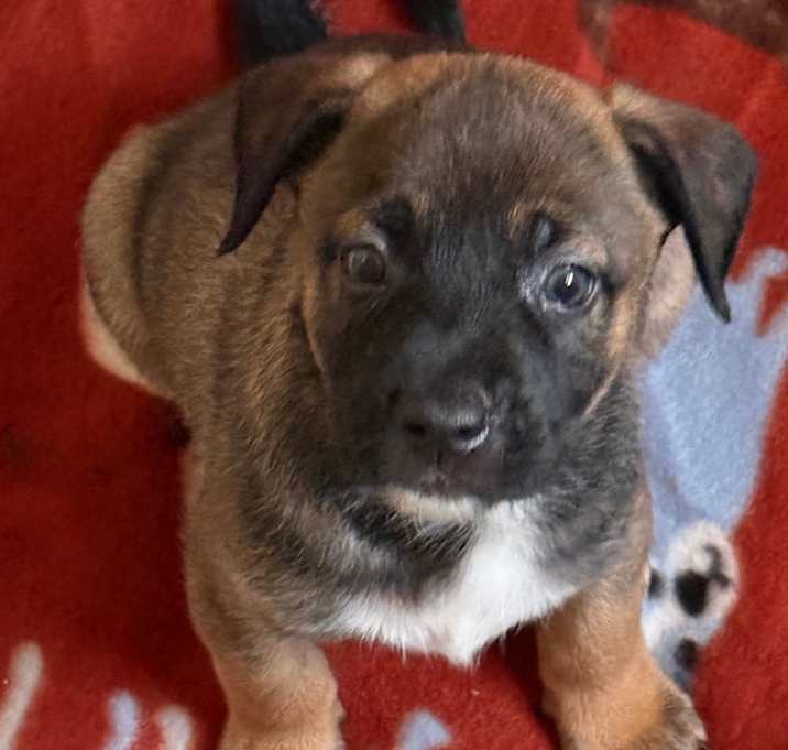 Photo of Carter 21982