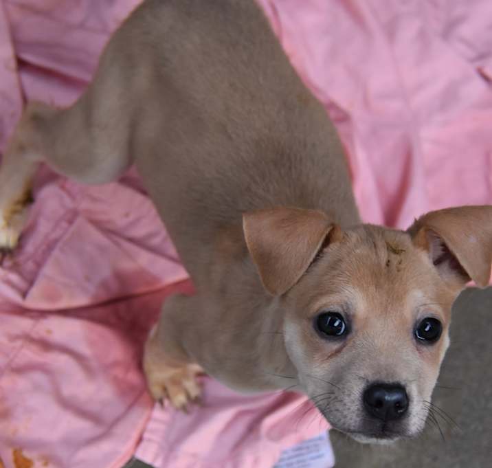 Photo of Mrs. Cratchit