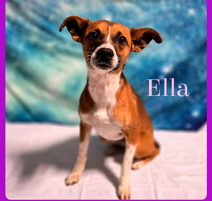 Photo of Ella