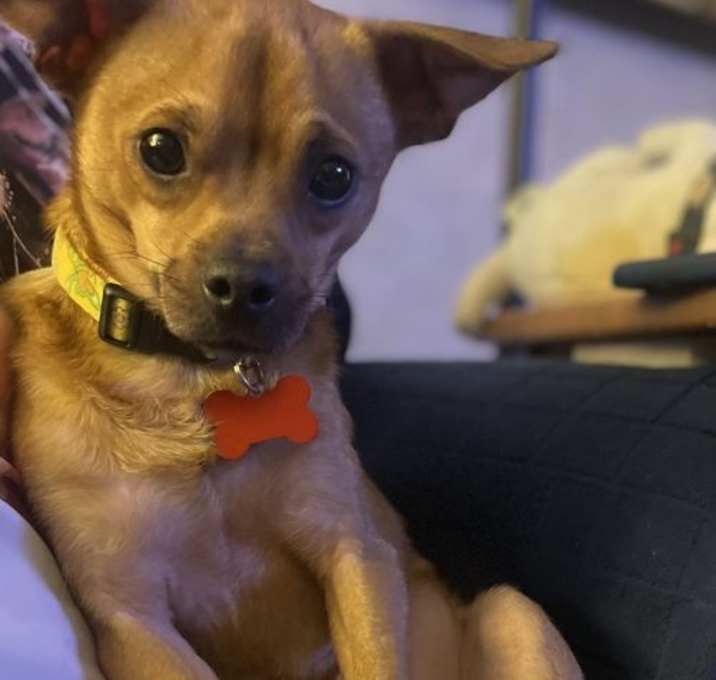 Photo of Jojo Talbot