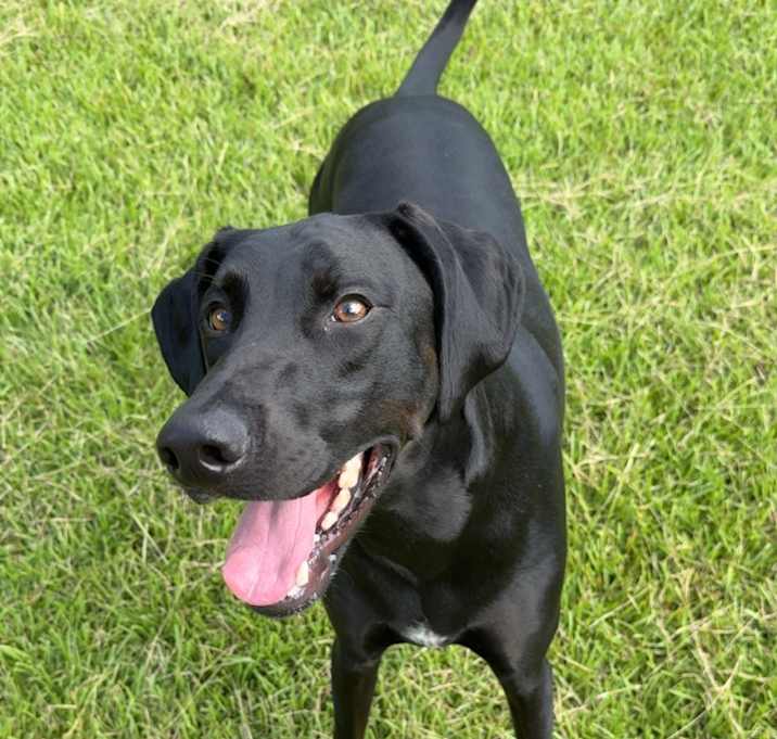 Photo of Sir Francis