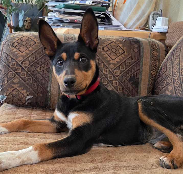 Photo of Deandra-Dee Dee