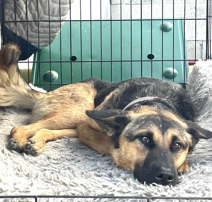 Photo of Little Coconut