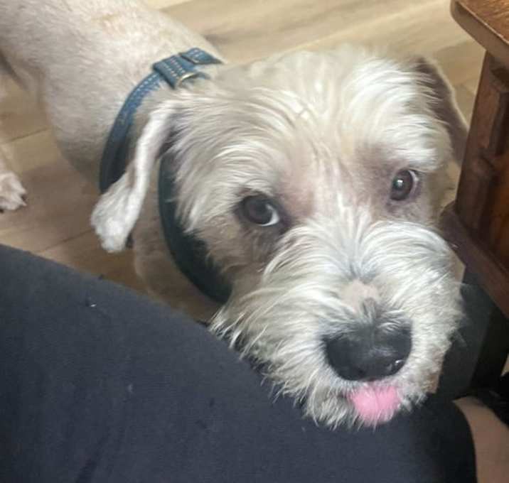 Photo of Marty McFly