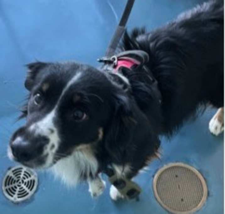 Photo of Sam NY Aka Sami