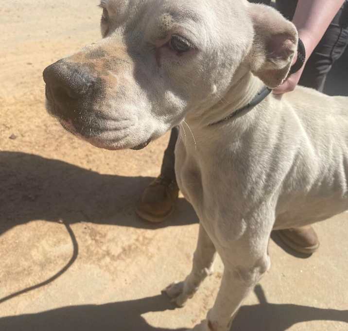 Photo of 032423 - Big Baby