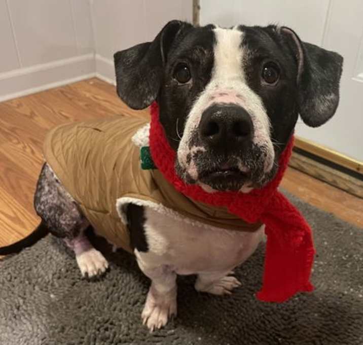 Photo of Cally *COOLEST LOOKIN' GIRL ON THE BLOCK*