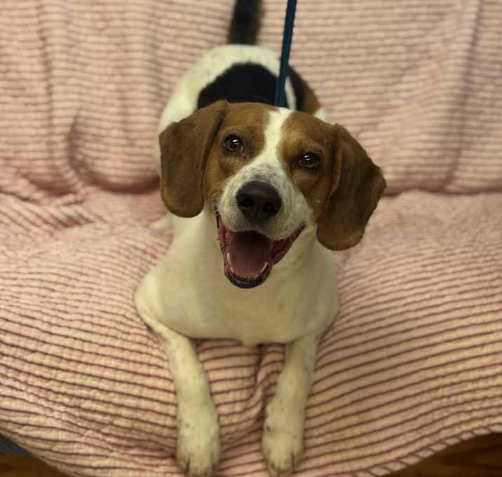 Photo of Buddy the Elf