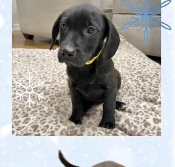 Photo of Cupid meet me 1/10