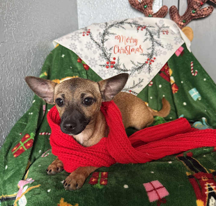 Photo of Jasmine Bailey