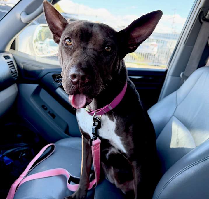 Photo of Janey-SO SWEET-Video!