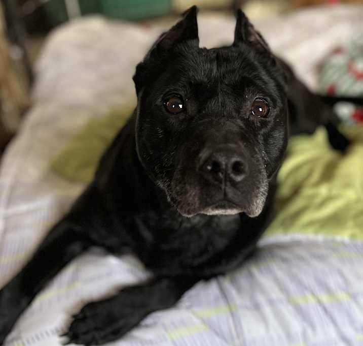 Photo of Kelsie (FEE SPONSORED)