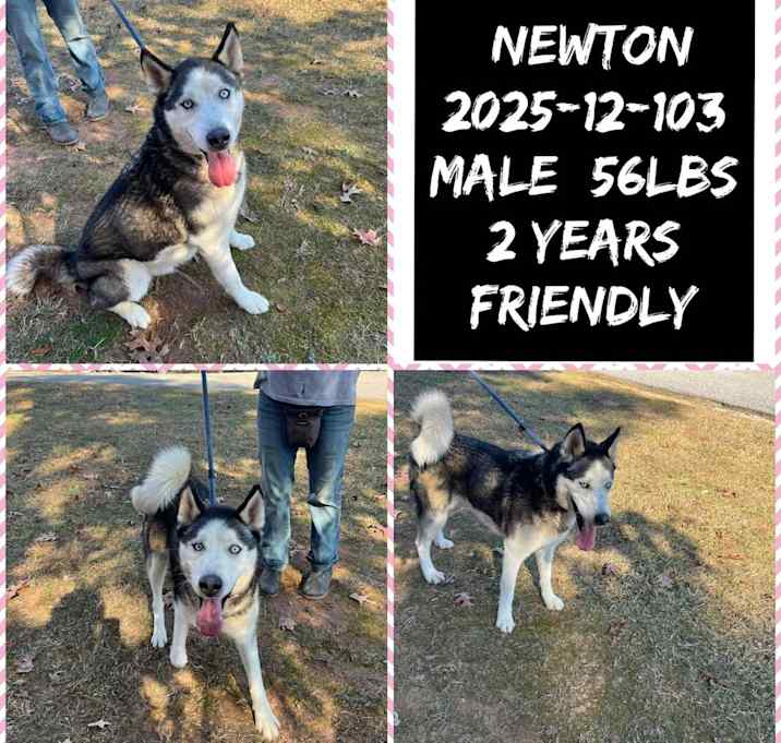 Photo of 2025-12-103