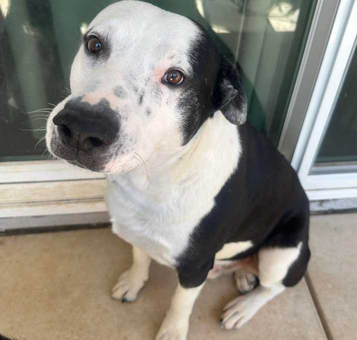 Photo of Jake aka Wiggle Wobbles