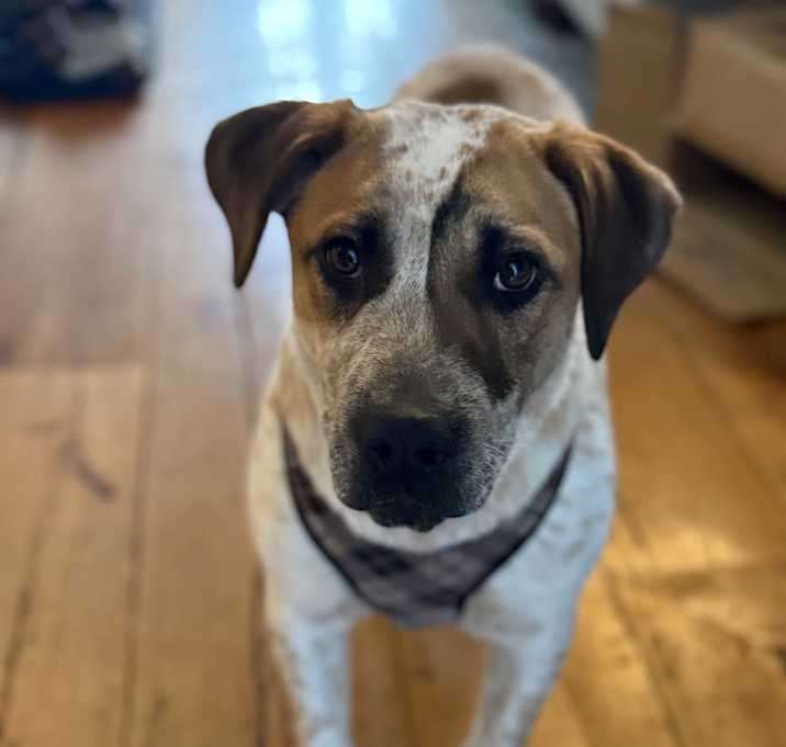 Photo of Gavin ~ meet me!