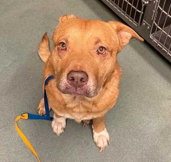 Photo of Christmas Surprise