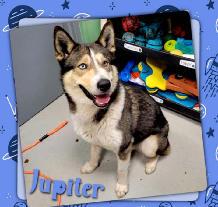 Photo of Jupiter *Stray Hold*